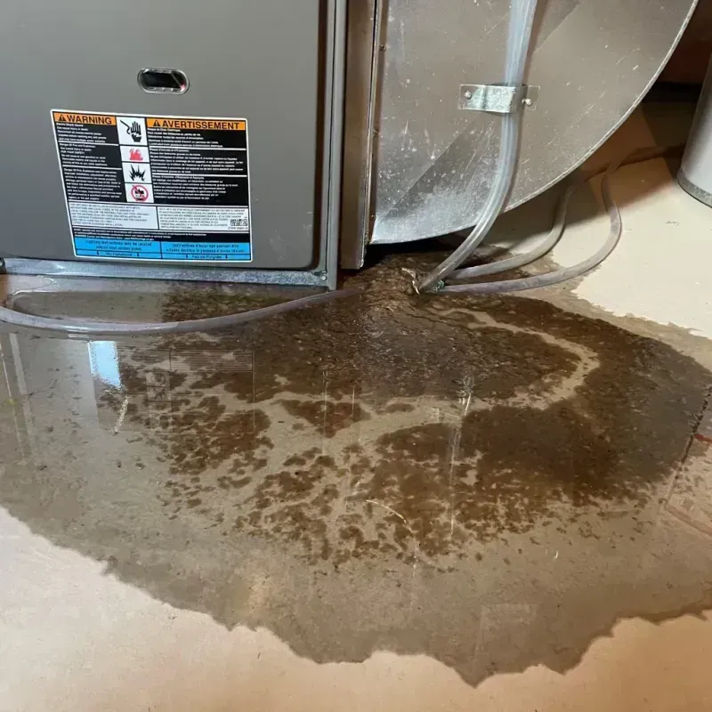 Appliance Leak Cleanup in Englewood, TN